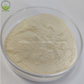 Supplement Protien Powder Organic Whey Protein Powder